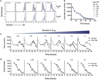 Regulatory T Cells Suppress Effector T Cell Proliferation by Limiting Division Destiny